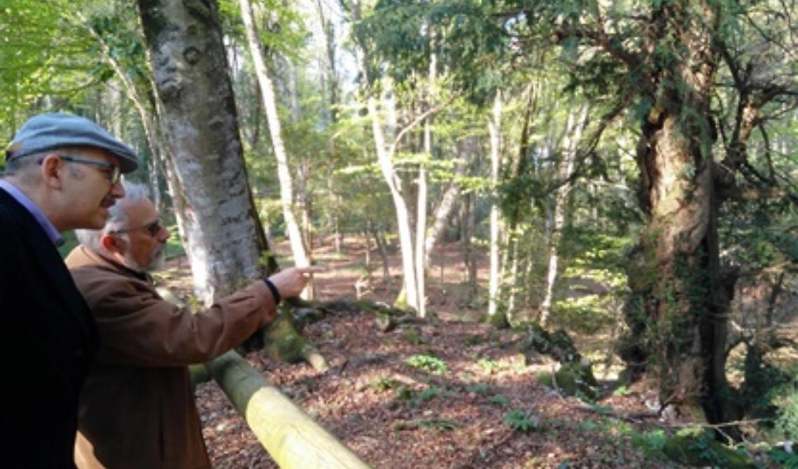 Parco Gargano