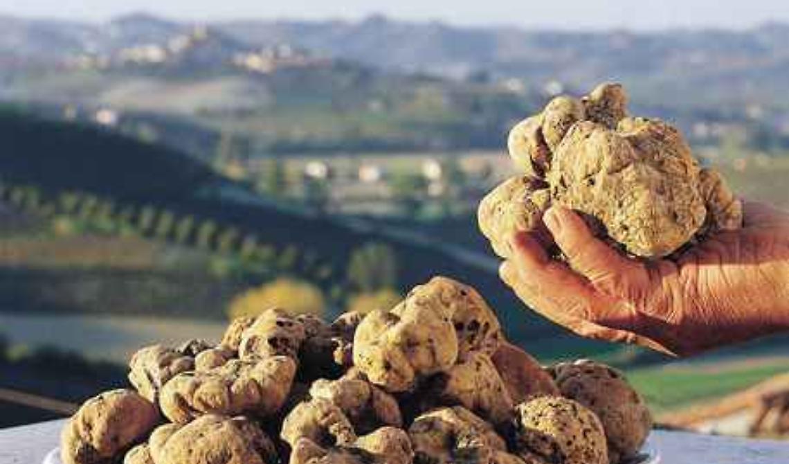 I tartufai del Pollino riuniti in Calabria: il Parco vuole entrare nell'associazione Città del tartufo