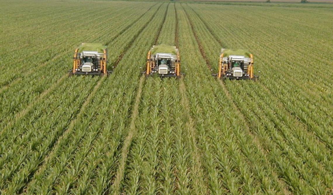 Metaponto pensa all'agro ecologia