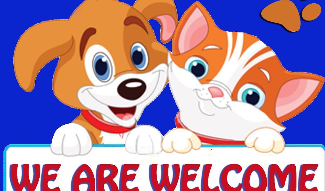 "Vieste animal friendly" piace sempre di più ai mercati stranieri e alle guide turistiche 