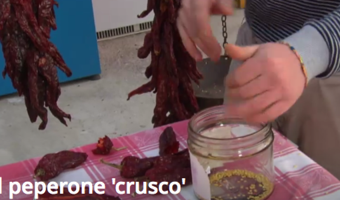 Senise, il peperone crusco protagonista a Uno Mattina