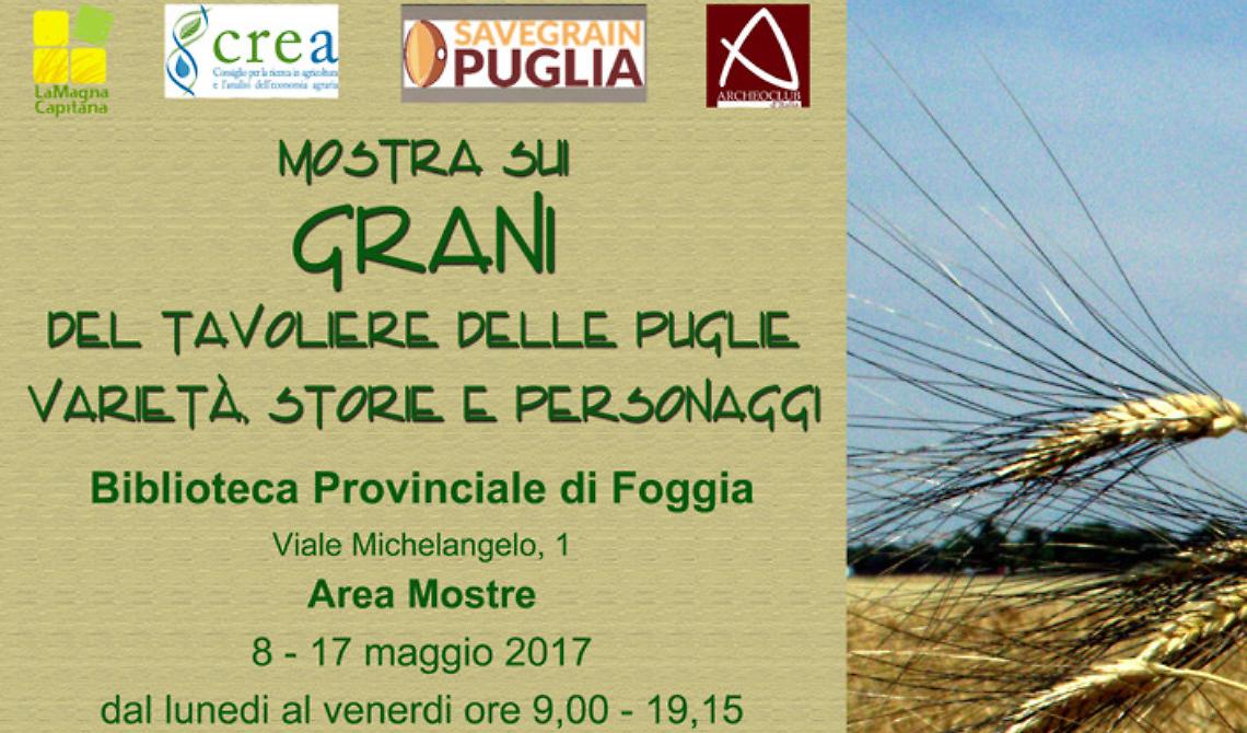 Foggia, come ti racconto varietà, storie e personaggi dei "Grani del Tavoliere delle Puglie"