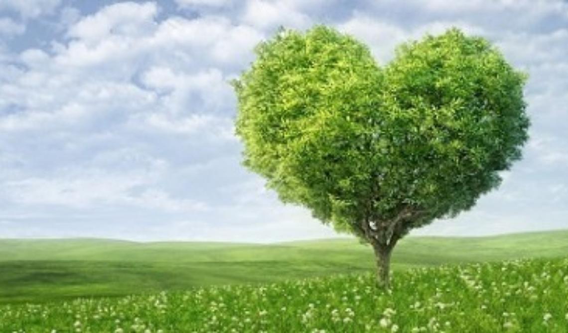 Chiaromonte punta sull'ambiente con la Giornata ecologica