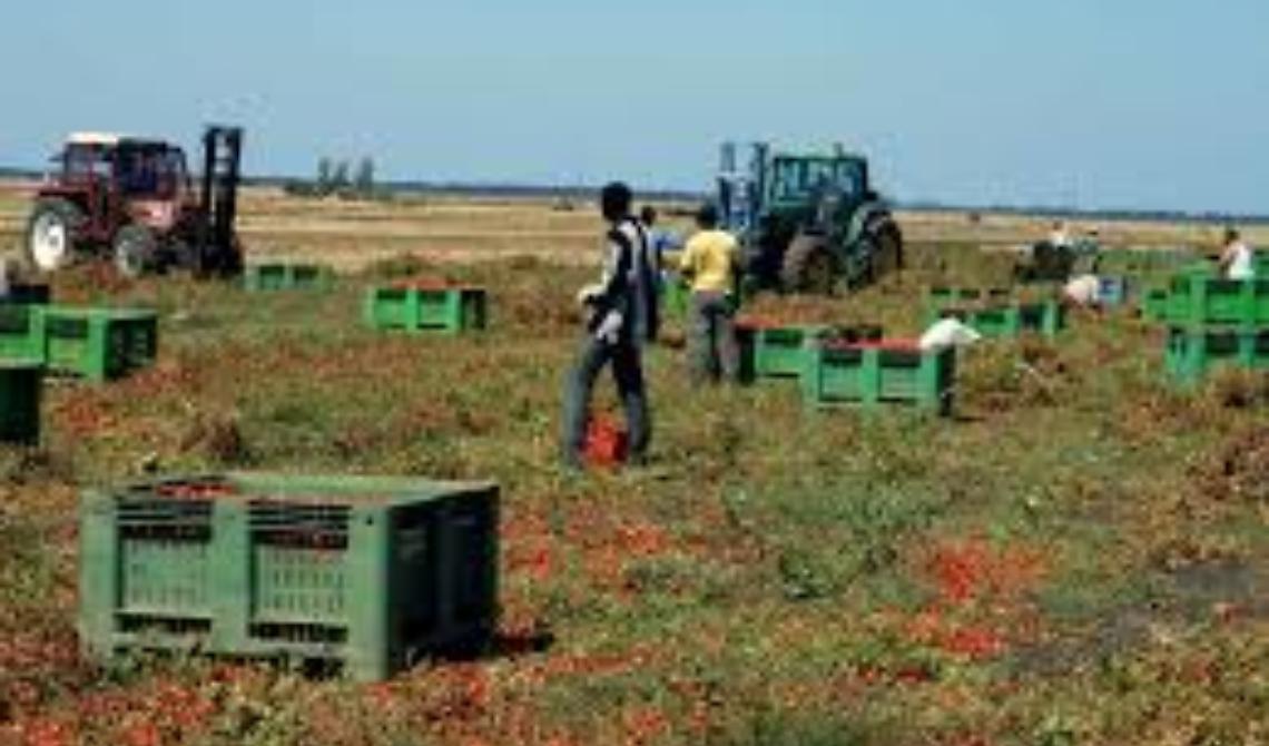 Calano i residenti,  crescono gli stranieri