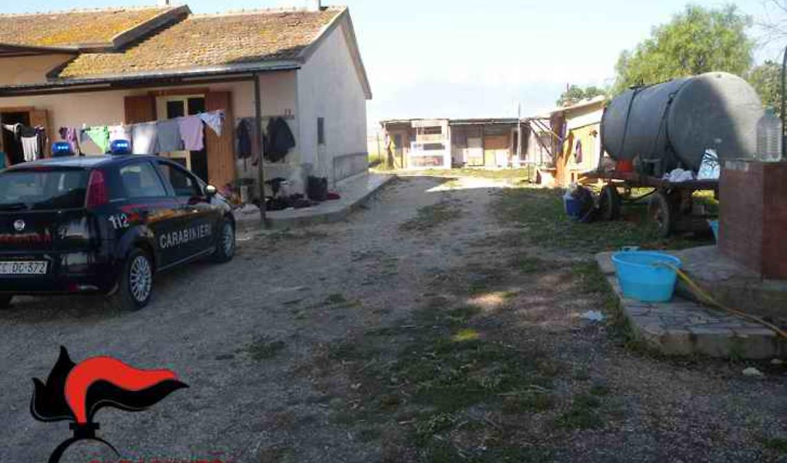 Caporalato nelle campagne di Zapponeta: due arresti 