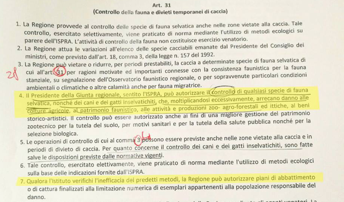 Caccia, la Regione prevede l’abbattimento di cani e gatti