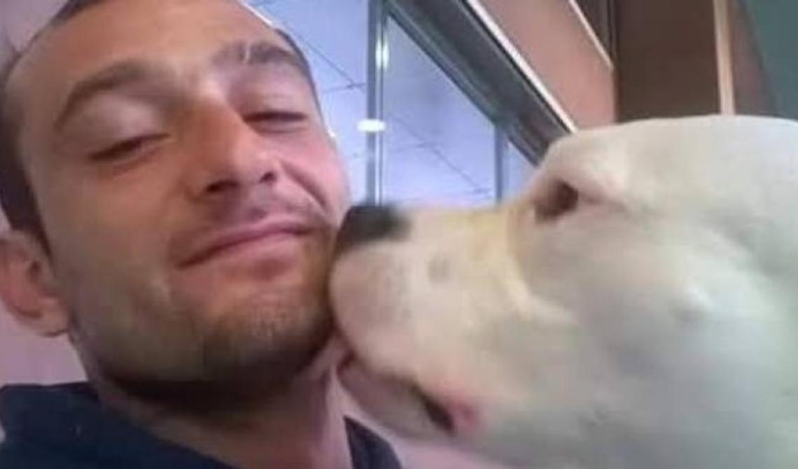 Salviamo Iceberg, il Dogo argentino di Avellino che la Danimarca vuole uccidere