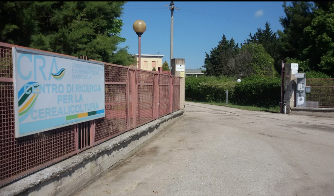 Provocano black out e svaligiano sede del CRA di Borgo Segezia 