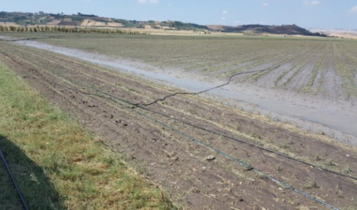 Lavello, dopo la tromba d'aria la Coldiretti chiede lo stato di calamità