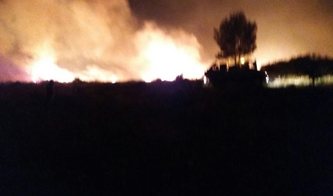 Emiliano in viaggio per Peschici, preoccupato per l'incendio che minaccia la città