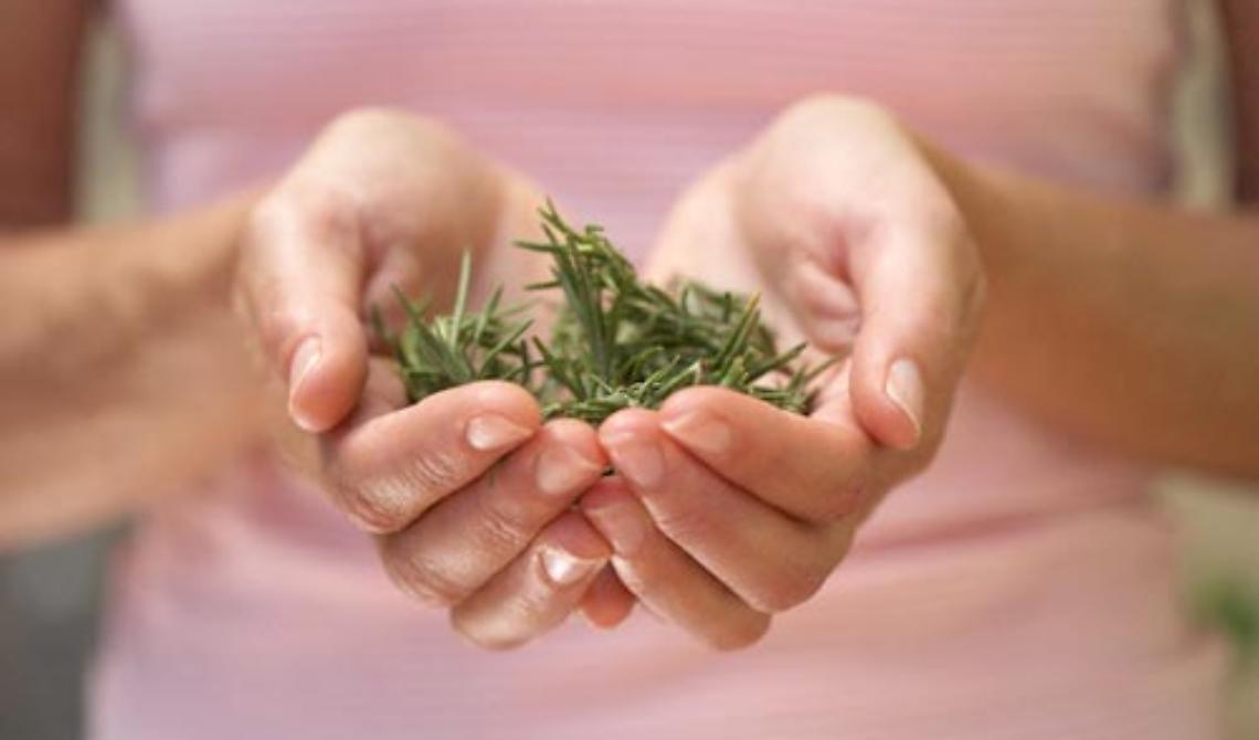 Una Salvia ti salverà
