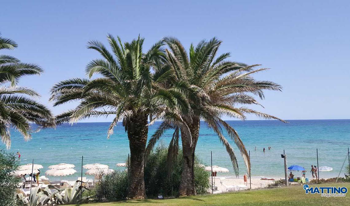 Quel mare di Sardegna che abbraccia al riparo delle onde bastarde della vita