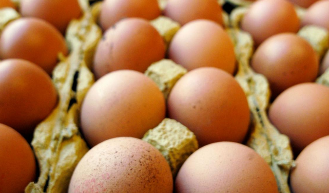 Le uova lucane non sono contaminate dal Fipronil