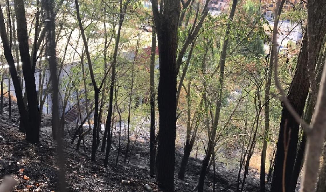 Melfi, pericoloso incendio aggredisce la "Bicocca"