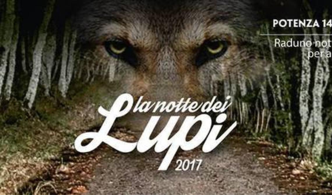 Potenza-Tricarico, una notte da lupi 