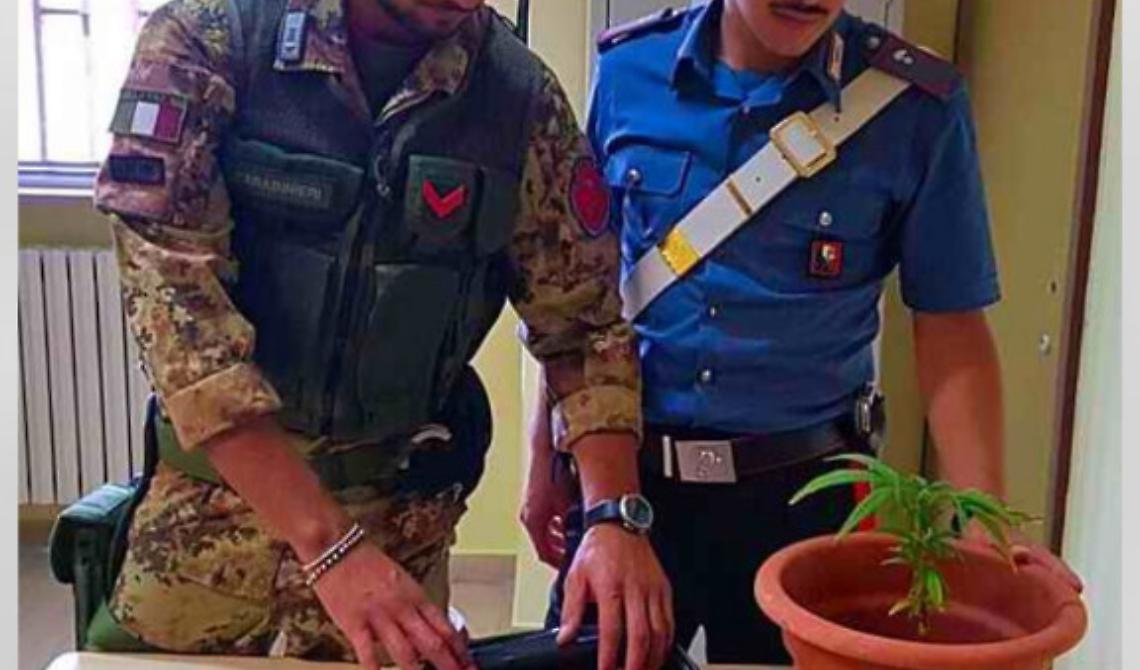 Vieste, a casa con un chilo di ''Maria": arrestato 24enne