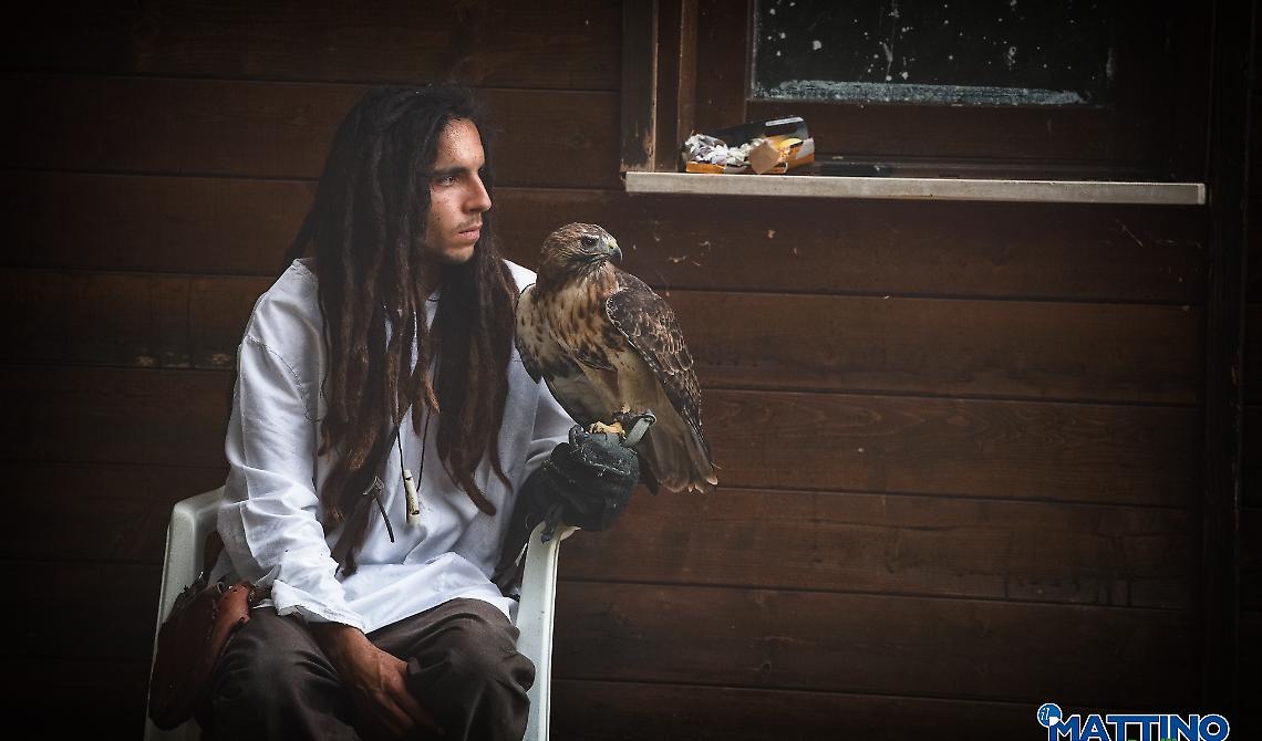 Per tre giorni Melfi sarà la capitale della falconeria