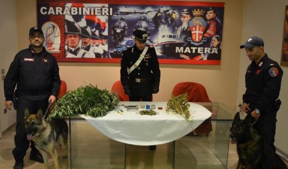 Erba connection nella Città dei Sassi: sequestrati 5mila euro di marijuana