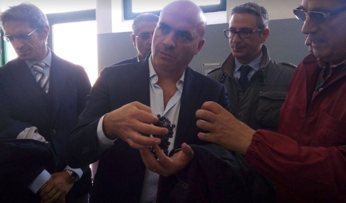 Cantina sperimentale, un progetto che lancia la vinificazione lucana