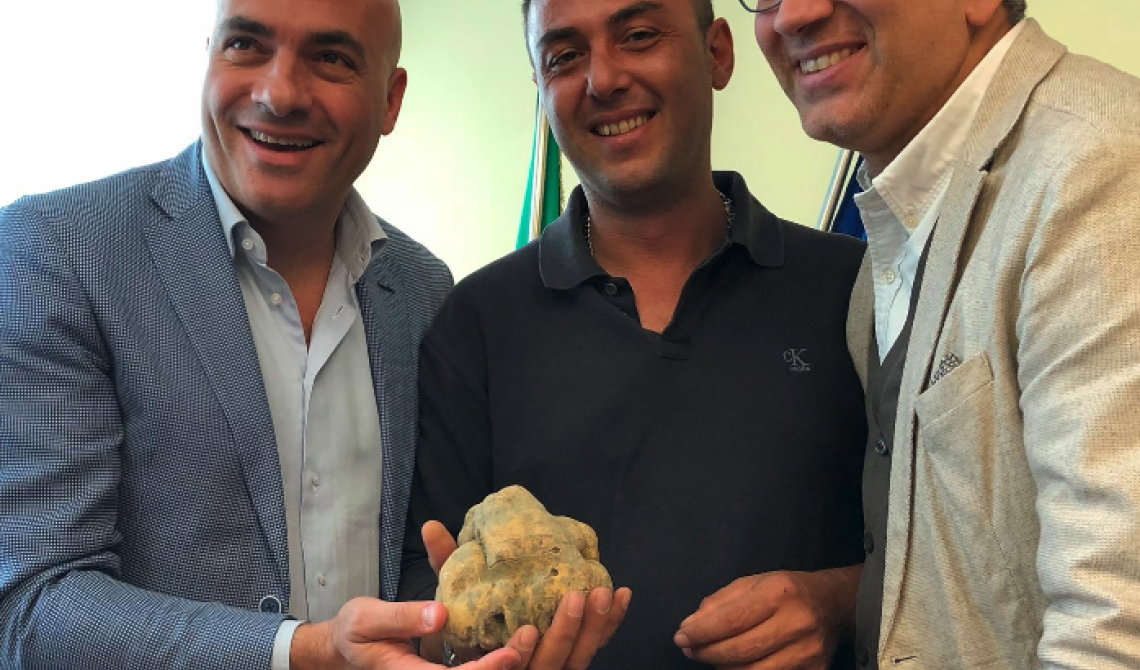 L'assessore Braia si butta sul tartufo: «Risorsa da valorizzare»