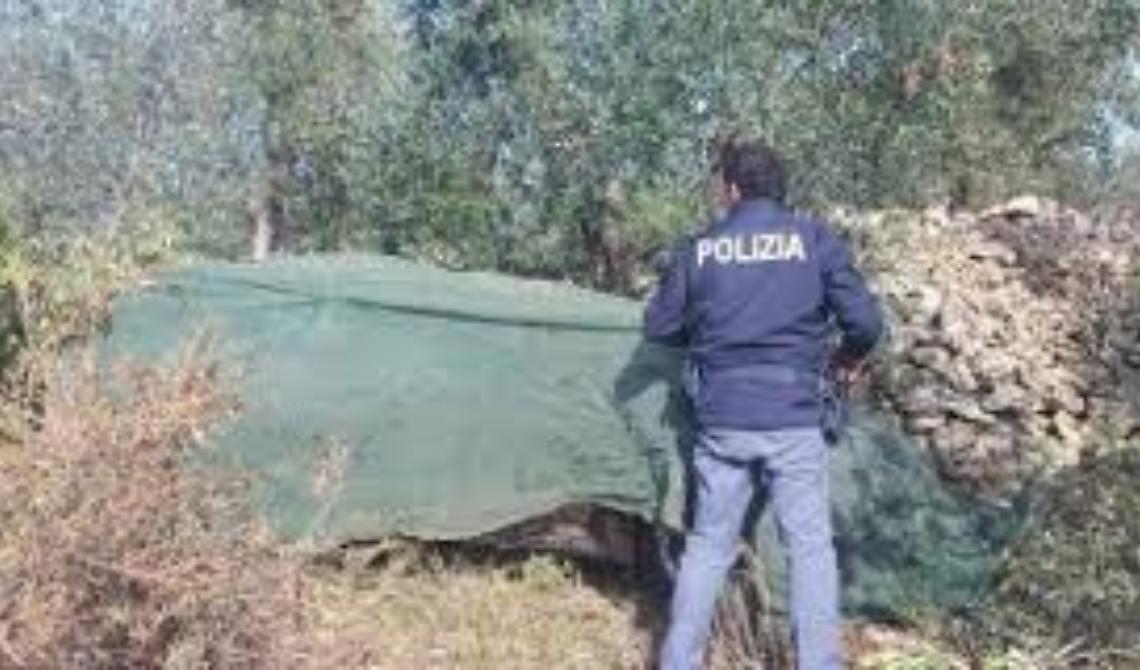 Immagini di repertorio 