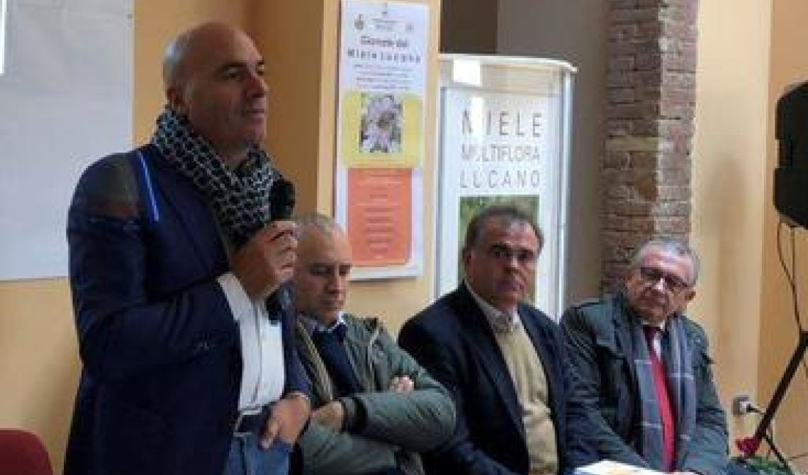 I 20mila alveari lucani avranno il marchio: il miele lucano verso l'Igp