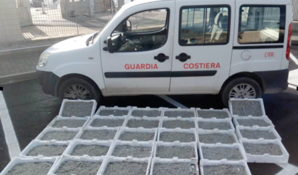 Maxi-sequestro di bianchetto della Guardia Costiera: sottratti al mercato illegale 200 chilogrammi 