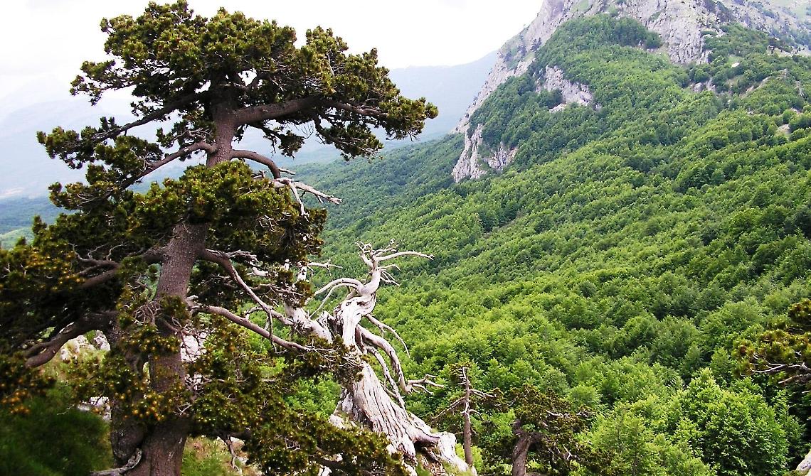 Turismo, la Basilicata investe su quattro attrazioni a contatto con la natura