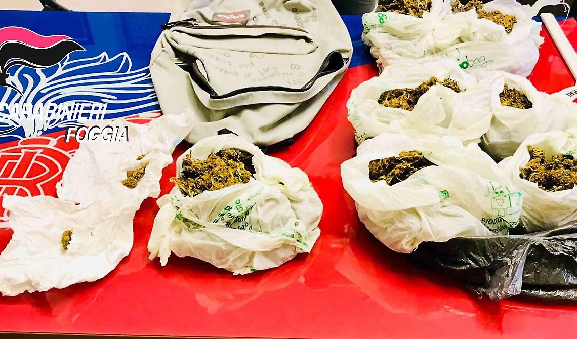 Vieste, in casa nascondeva quasi un chilo di marijuana: arrestato 19enne