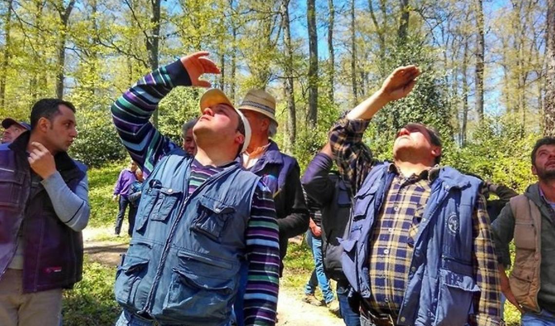 La Basilicata dei riti arborei: oggi Accettura sceglie il suo Maggio