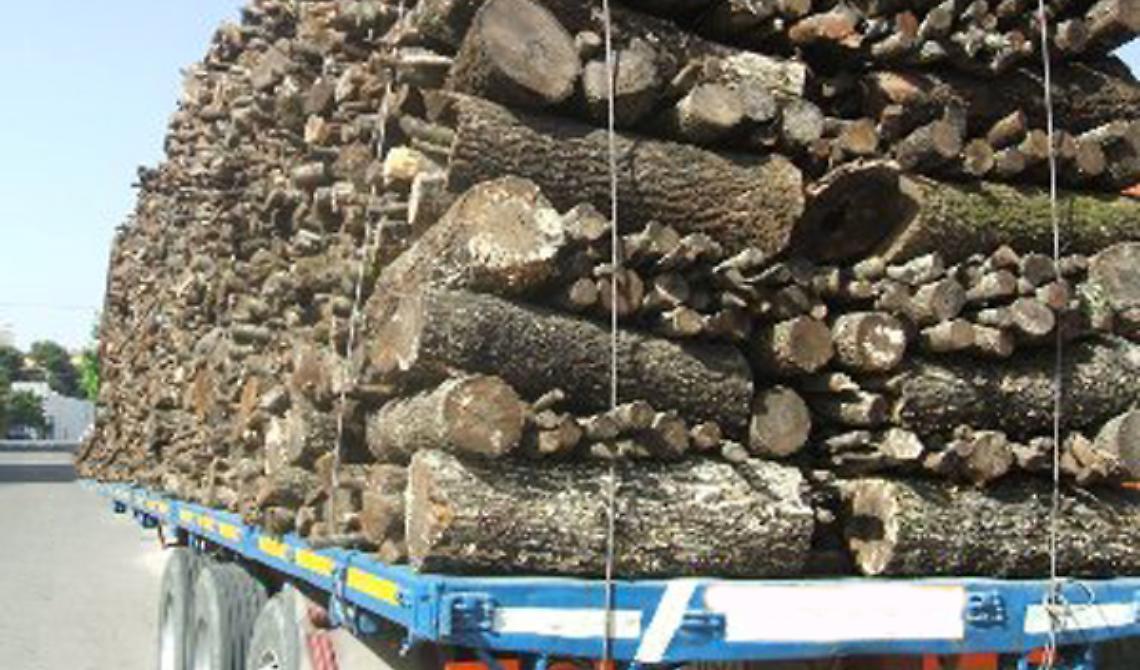 Montescaglioso, denunciato dalla forestale per vendita illegale di legname 