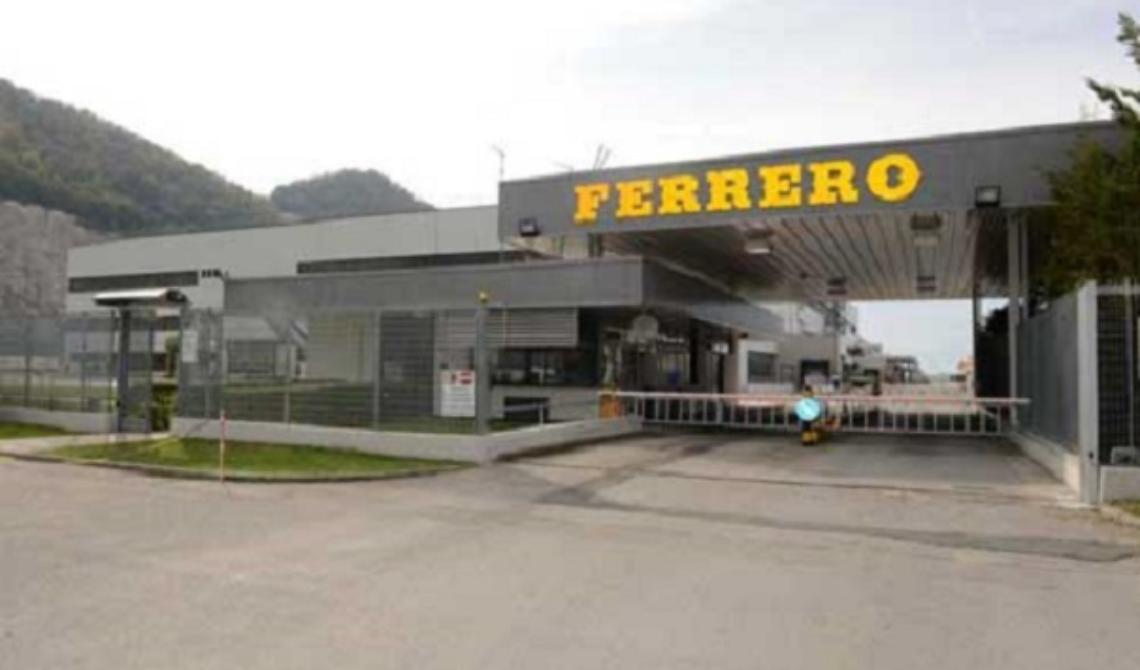 La Ferrero fa incetta di nocciole della Basilicata: il 75% per i prossimi vent'anni