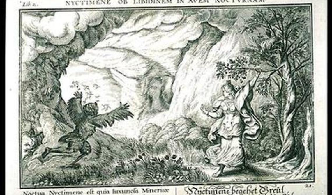 Cornacchia e Civetta, da simboli di buon auspicio a uccelli forieri di morte