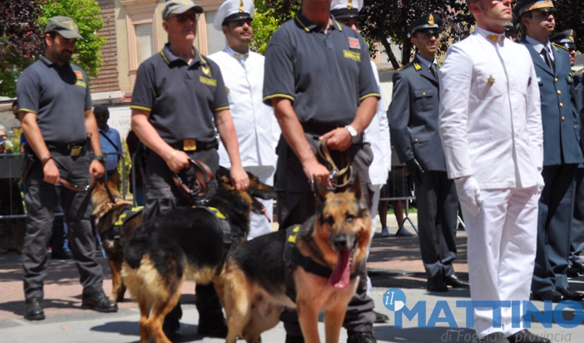 Foggia, arrivano i rinforzi e a gennaio calano furti e rapine