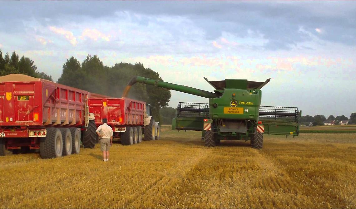 Crolla (finalmente) l'importazione di grano in Puglia e Coldiretti invoca la Con a Foggia