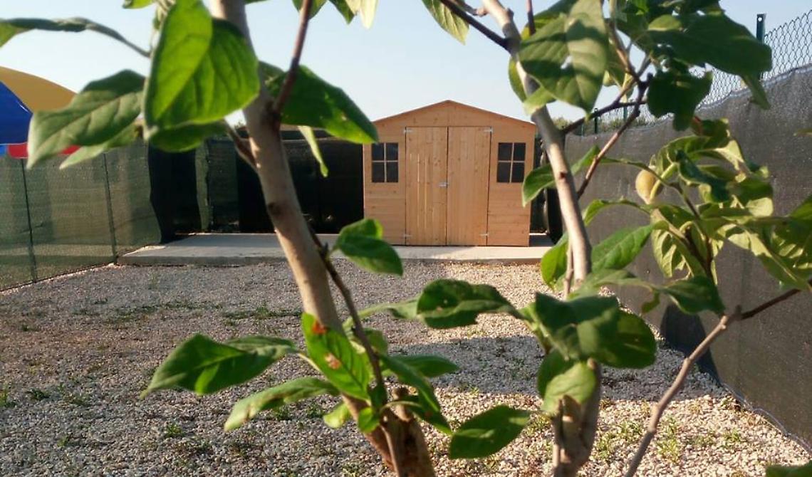 A Cerignola nasce l'asilo per cani e una scuola d'amore verso gli animali per gli umani