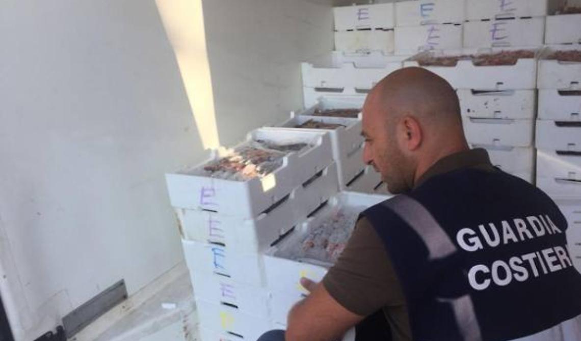 Sequestrate 2 tonnellate di pesce tra Puglia e Basilicata