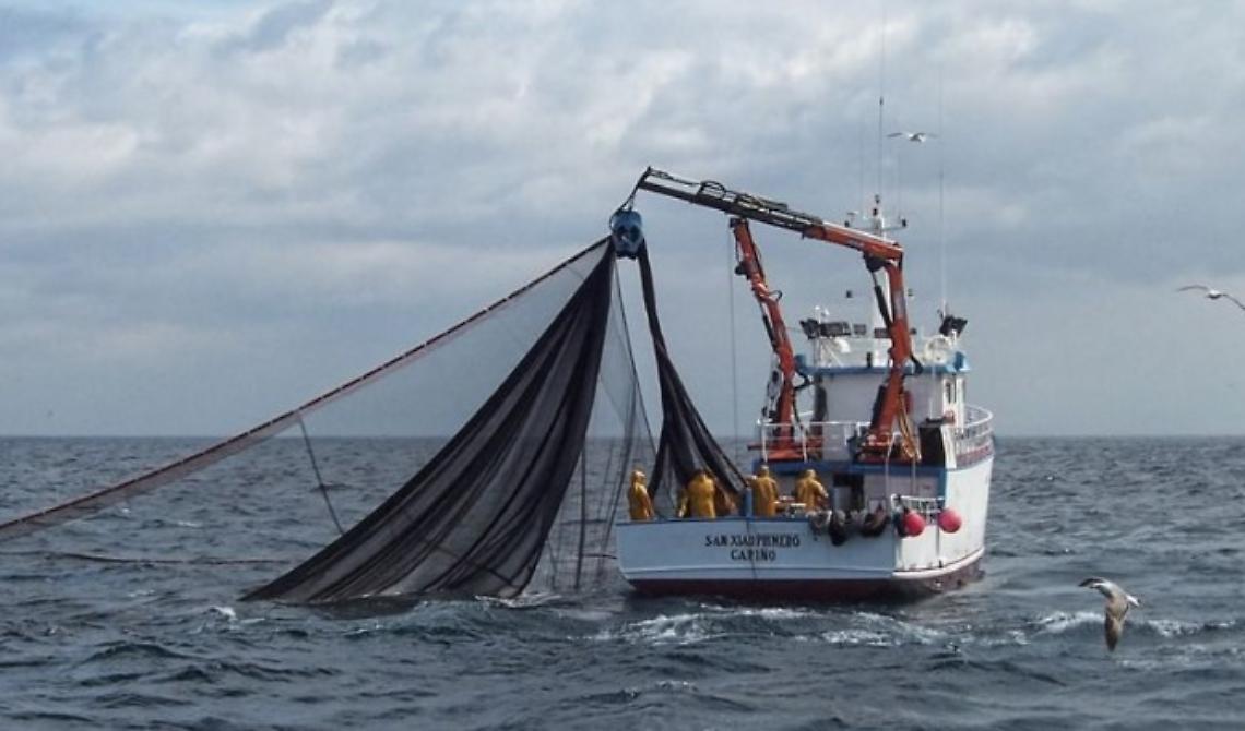 Da domani stop al pesce fresco da San Benedetto a Termoli e da Manfredonia a Bari