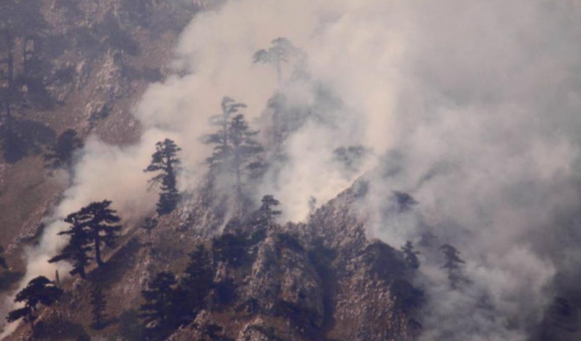 Denunciato il piromane del Pollino: ha appiccato undici incendi solo lo scorso anno