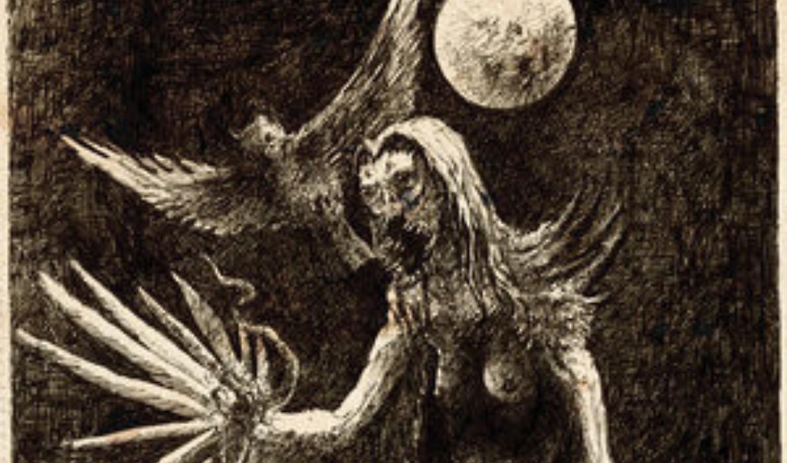 Chi era la strega? Dall&rsquo;uccello strige al Medioevo