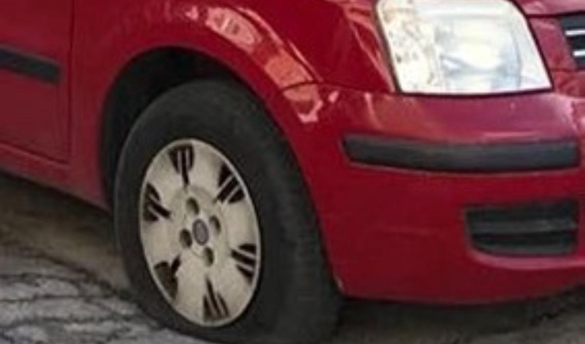 Manfredonia, intimidazione al responsabile del canile. Per Enpa potrebbe essere ritorsione
