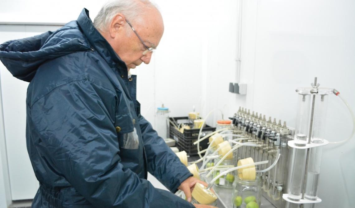 Laurea UniFg "honoris causa" allo scienziato Francisco Artés: la notizia fa il giro del mondo accademico spagnolo