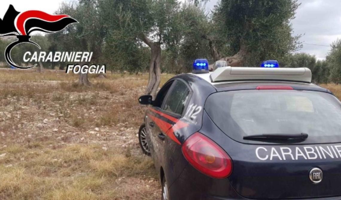 Furti nelle campagne: sei arresti 