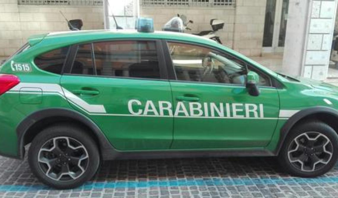 Scanzano Jonico, versamento illecito di liquami in area protetta: 2 denunce