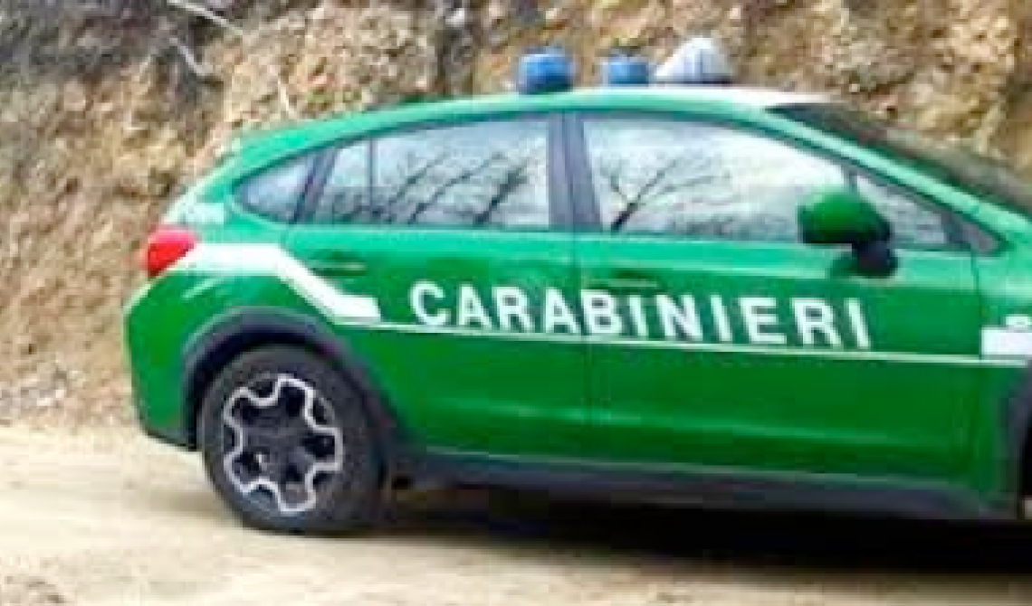 Fondi Ue: nei guai la titolare di un’Azienda Agricola di Brienza