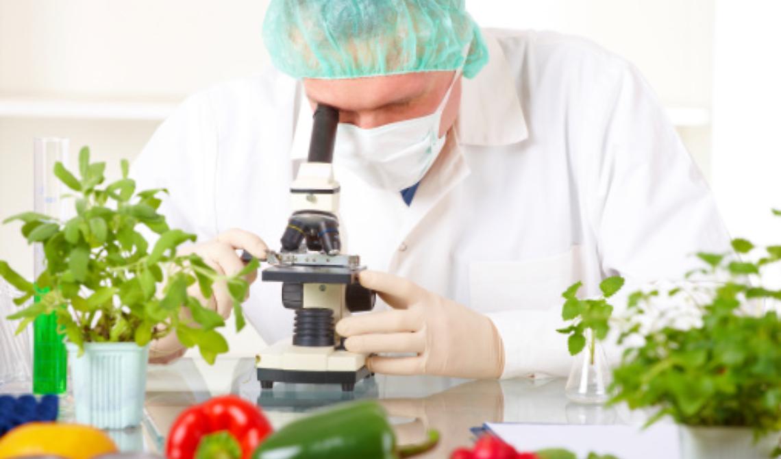Ordine Tecnologi Alimentari di Basilicata e Calabria, insediato il nuovo Consiglio