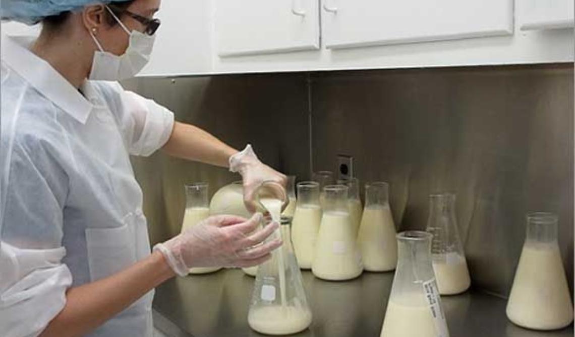 In Basilicata nasce la banca del latte umano