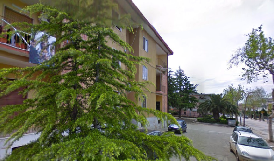 Apricena, la mannaia di Potenza sugli alberi secolari