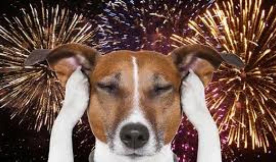 Botti di Capodanno? Inutili, dannosi e sgraditi