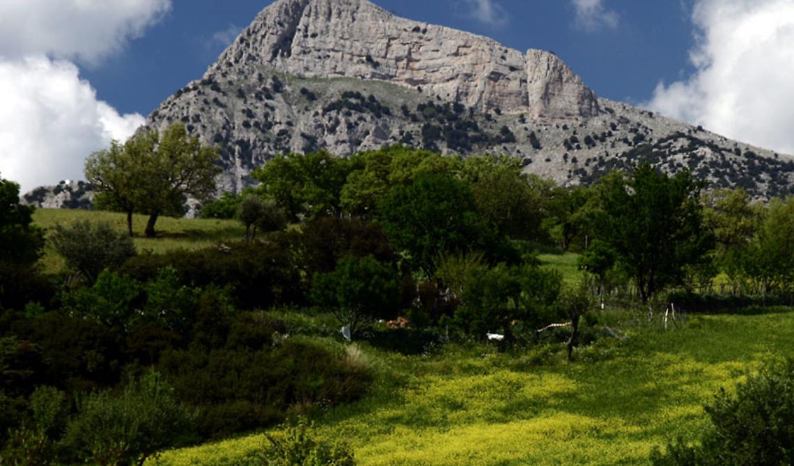 Parco del Pollino, approvati investimenti per 5 milioni di euro